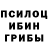 Галлюциногенные грибы GOLDEN TEACHER Xava Shamsueva