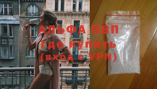 дживик Абаза