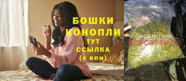 гашик Алексеевка